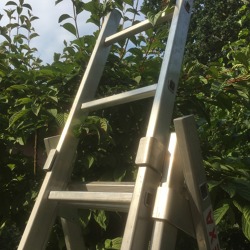 Wer hoch hinaus will -Die richtige Leiter für den Garten 