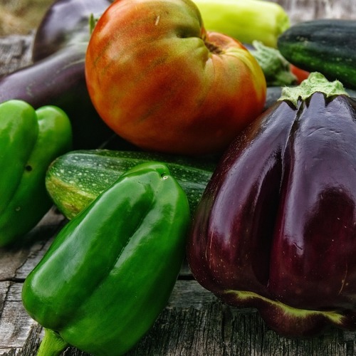 Gem&uuml;seanbau im Kleingarten &ndash; Erfolg mit Fruchtfolge und Mischkultur