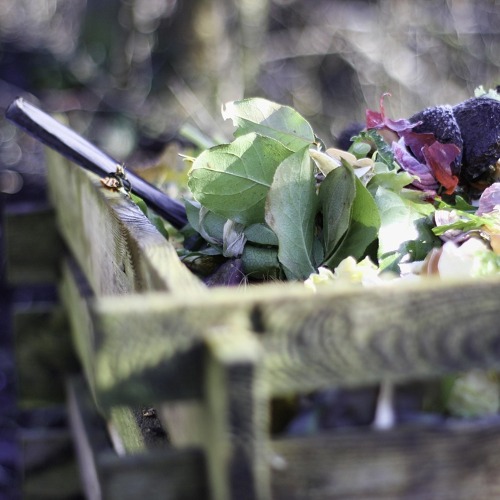 Der Kompost - eine wichtige Gr&ouml;&szlig;e in jedem Kleingarten