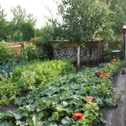 ausgebucht - Gartenbegehung - der Kleingärtnerischen Nutzung gerecht werden 