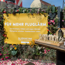 Da wächst was ...
