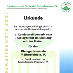 Gewinner des 5. Landeswettbewerbes 2021