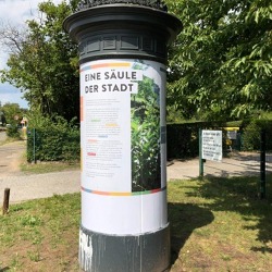 Was haben Litfaßsäulen und Berliner Kleingärten gemeinsam?