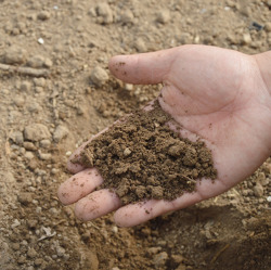 Gartenfachberaterseminare 2022