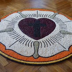 "Das Paradies ist überall" – Die Grüne Woche zieht in die Lutherkirche Wilhelmsruh 