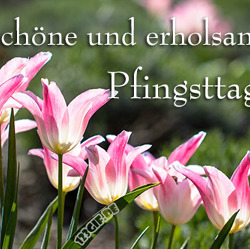 Wir wünschen allen sonnige und erholsame Pfingstfeiertage